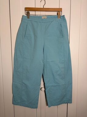 Pilcro Seafoam Blue Wide-Leg Crop Pants Size Medium